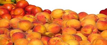 Health Benefits of Peaches
