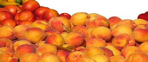 Health Benefits of Peaches