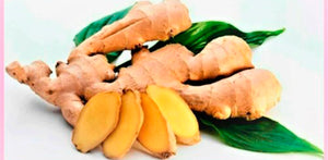 Ginger Root Benefits